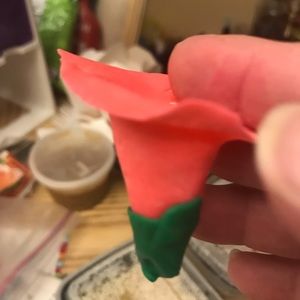 Meet your Posher, Ana